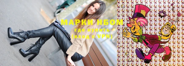 гашик Нефтекумск