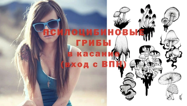 тгк Нея