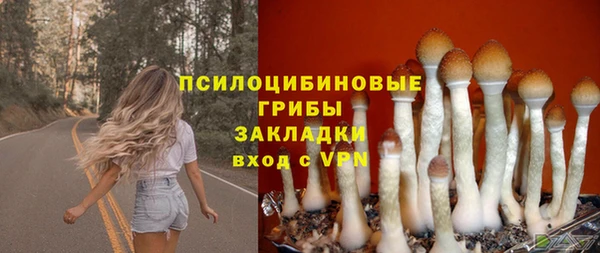 гашик Нефтекумск