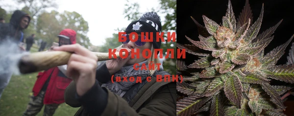 гашик Нефтекумск