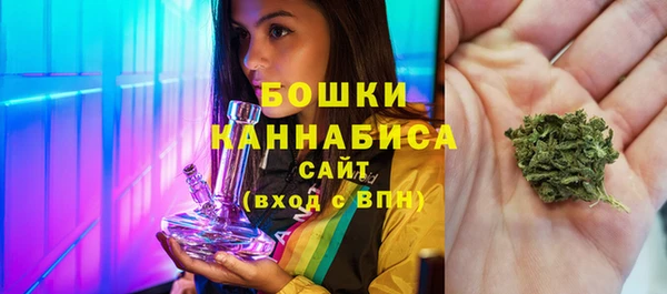 прущий лед Бикин