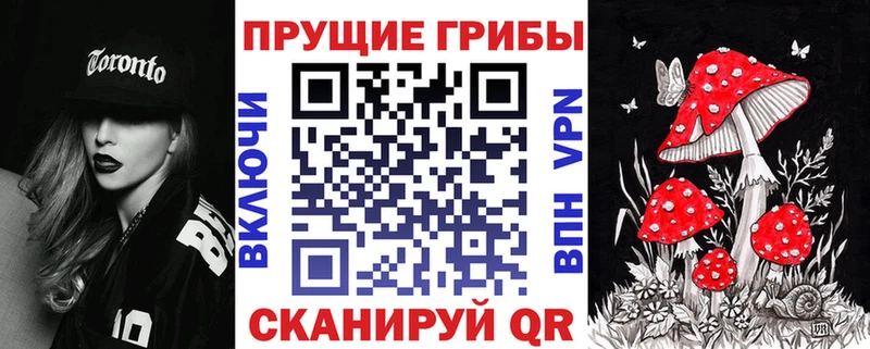 сколько стоит  Пыталово  Галлюциногенные грибы Magic Shrooms 